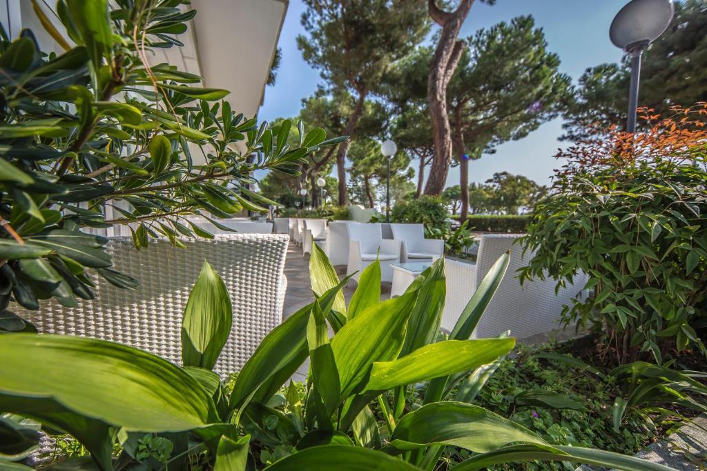 Ciccio Hotel Misano Adriatico Exterior foto